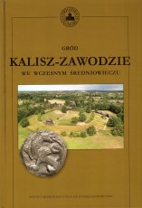 Gród Kalisz-Zawodzie we wczesnym średniowieczu T 17